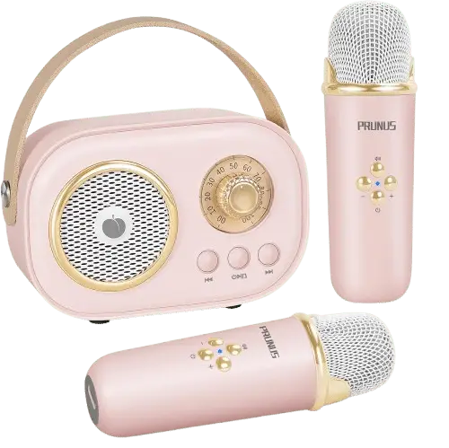 PRUNUS Mini Karaoke Machine
